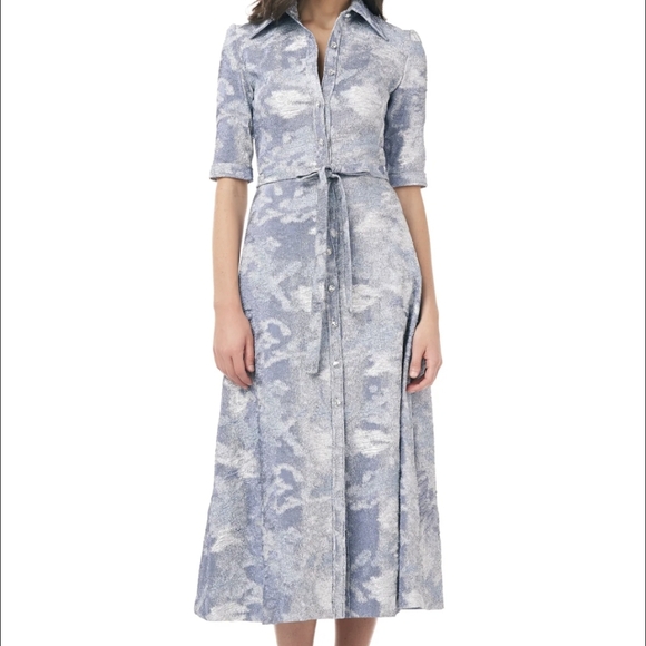 Theia Dresses & Skirts - Theia Shirt Dress